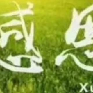 《红雁公主》第127回云淡风轻作者，张帆主播，释然。