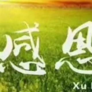 《红雁公主》第130回别有深意作者，张帆，主播，释然。