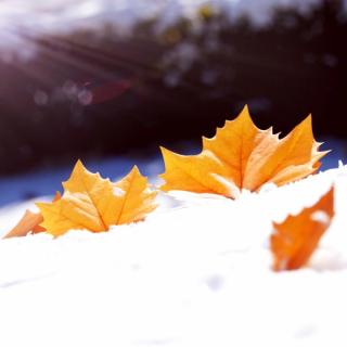 《一场雪，是叫醒冬天的回声》  刘杰