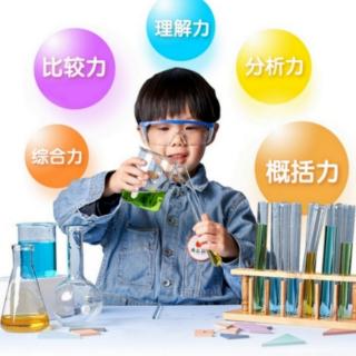 C8）南瓜科学——谁能帮帮小狮子