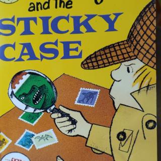 sticky case