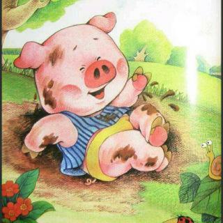 绘本故事《小猪变干净了》