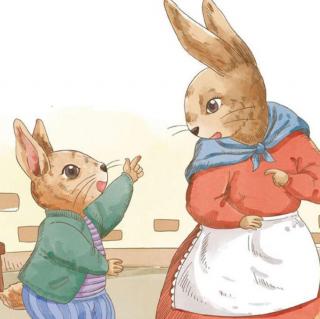 宋老师第291篇睡前故事🌻第二章《 兔妈妈的主意》