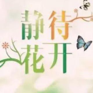 静待花开