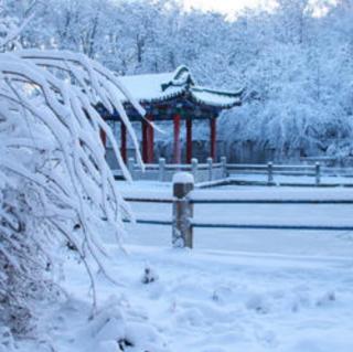 《雪》作者：玉仙  诵读：青青子衿