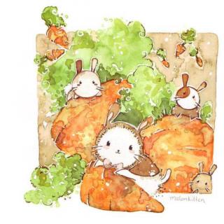 狮子兔的胡萝卜盔甲（1）童话森林丨罐子姐姐童话