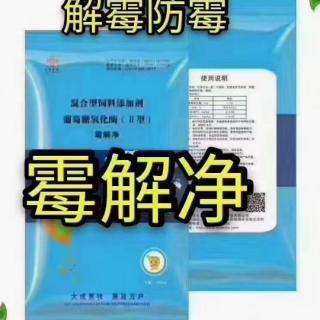 母牛怀孕前后期要注意哪些饲养要点？