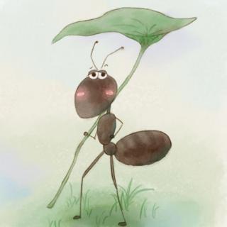 《勇敢的小蚂蚁🐜》