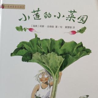 小莲的小菜园