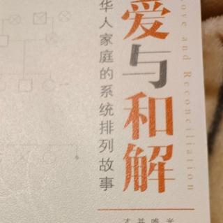 《爱与和解》3/2妈妈，对不起——序位与身材