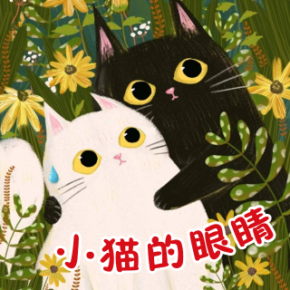 48.《小猫的眼睛》 (V0)