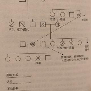 《爱与和解》4/5家族的黑洞——孩子的不良行为