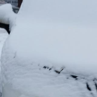 鲁大林《飘过那年冬天的小雪》诵读琴姐