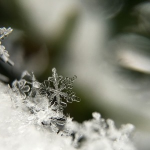 雪花的快乐