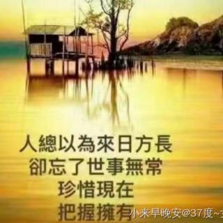 《冬雨.外一首》作者：草原狼   朗诵：37度～女人