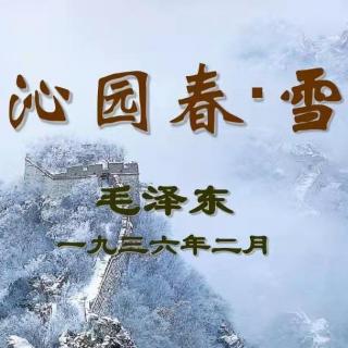 沁园春·雪