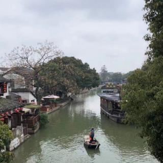 《一树山之醉》野草