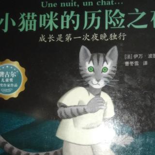 小猫咪的历险之夜