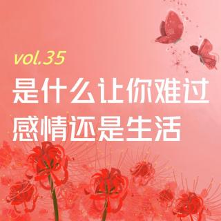 【彼岸花开】vol.35 是什么让你难过，感情还是生活