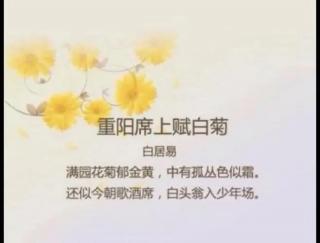 《重阳席上赋白菊》唐.白居易 注释及赏析