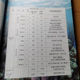 人们是怎么划分史前各个年代的？211205