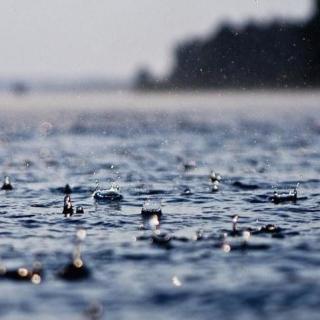 助眠雷雨声：平静的雨 6