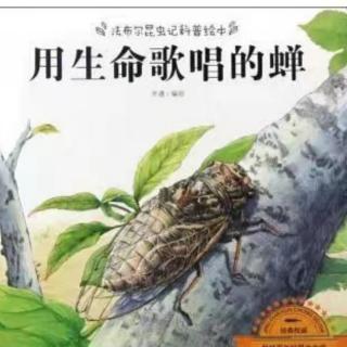 《用生命歌唱的蝉》