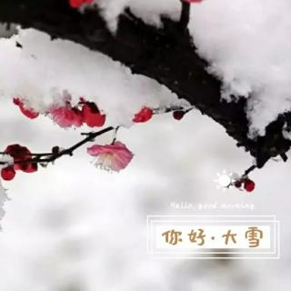 今日大雪，冬寒语暖(致我牵挂的人)