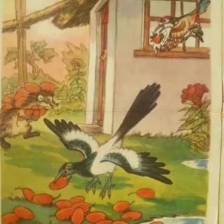 朱曲镇双语幼儿园晚安故事547《老婆婆的枣树》
