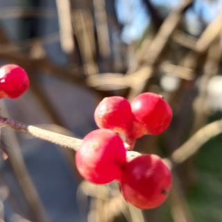 《七年知青岁月》知青说1.8