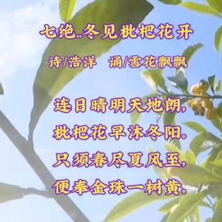 《七绝•冬见枇杷花开》文 浩洋