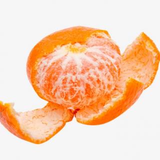 橘子的“救生圈”