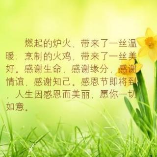 《心怀感恩，美好常存》作者：云璃