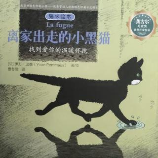 离家出走的小黑猫