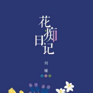 花痴｜合诵之三 （饭团村）