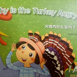 Why is the turkey angry