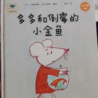 《多多和倒霉的小金鱼》