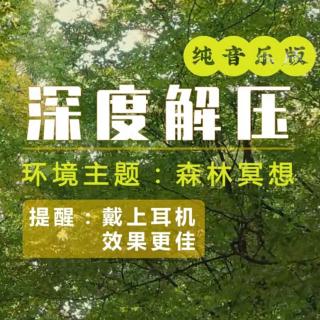 森林音乐疗愈，减压放松心灵