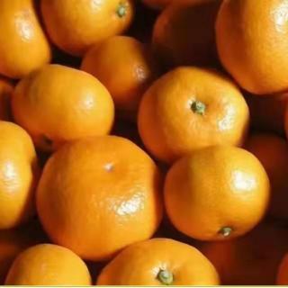 【奇妙博物馆】橘子能治失眠？！