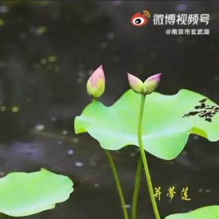 读懂《菜根谭》10句经典，一辈子会舒坦很多