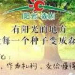 健康秘笈12招（下）——林海峰