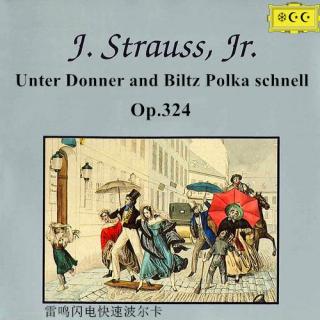 约翰·施特劳斯--雷鸣闪电快速波尔卡op.324 