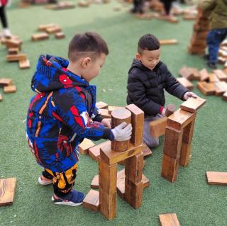 《发现孩子——在适应的环境中，孩子不用教就很完美》