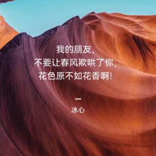 《与你同行》席慕容