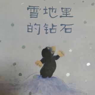 雪地里的钻石