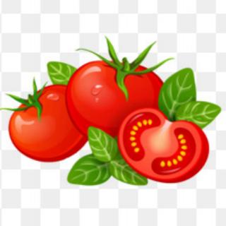 6：番茄 | 内分泌腺克星