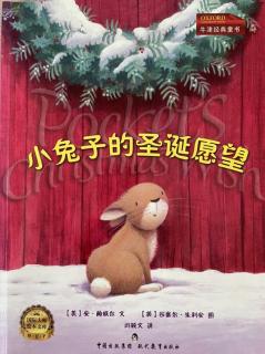 小兔子的圣诞愿望