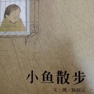 小鱼散步