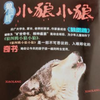 《小狼小狼》155页一一164页