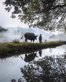 词二首/高山流水